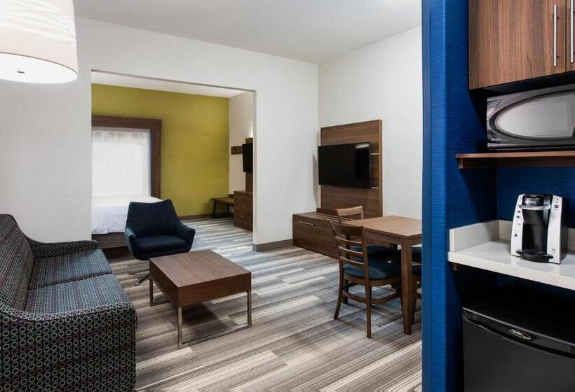 带大床的豪华间, Holiday Inn Express Hotel & Suites Saskatoon, An Ihg