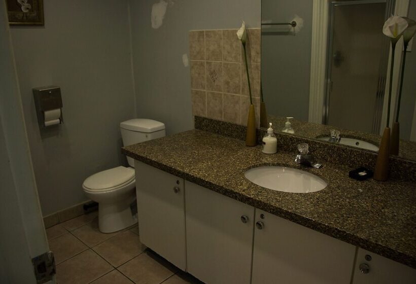 스탠다드 싱글 룸 공동욕실, St Lawrence Residences And Suites