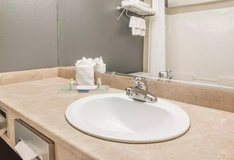 اتاق سوپریور, Super 8 By Wyndham Quebec City