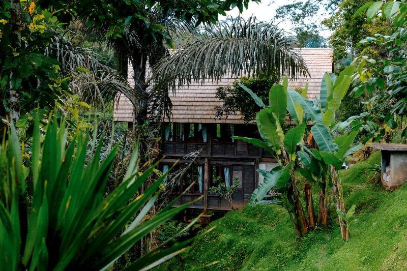 스탠다드 룸, Bagus Jati Health & Wellbeing Retreat