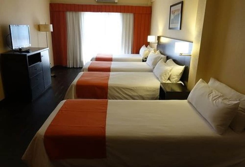 اتاق استاندارد چهار تخته, Duomi Hotel Buenos Aires
