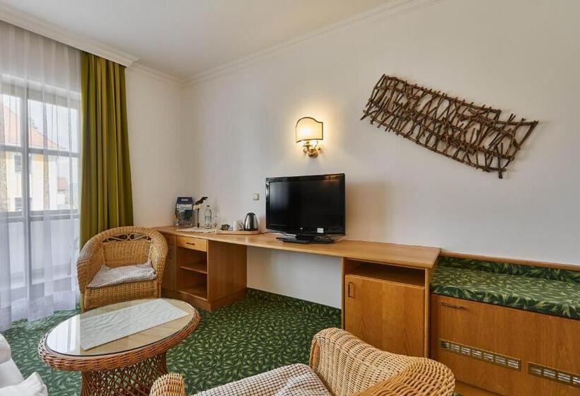 스탠다드 발코니 룸, Lindenhof