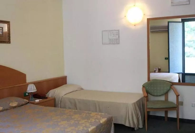اتاق استاندارد سه نفره, Ascot Lodging