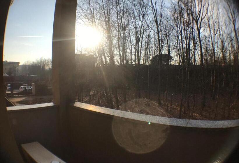 패밀리 룸, Ascot Lodging