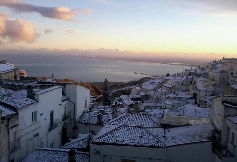 オーシャンビュースタンダードルーム, B&b Michael