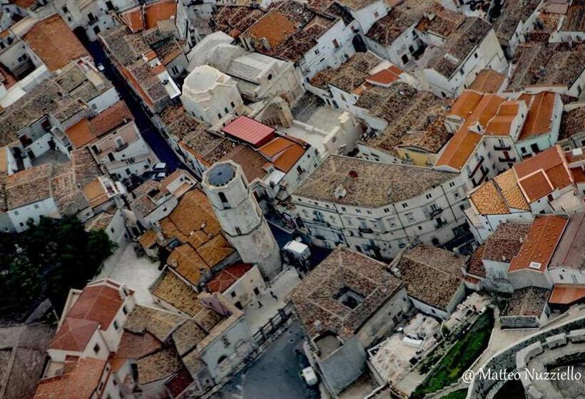 スタンダードシングルルーム, B&b Michael