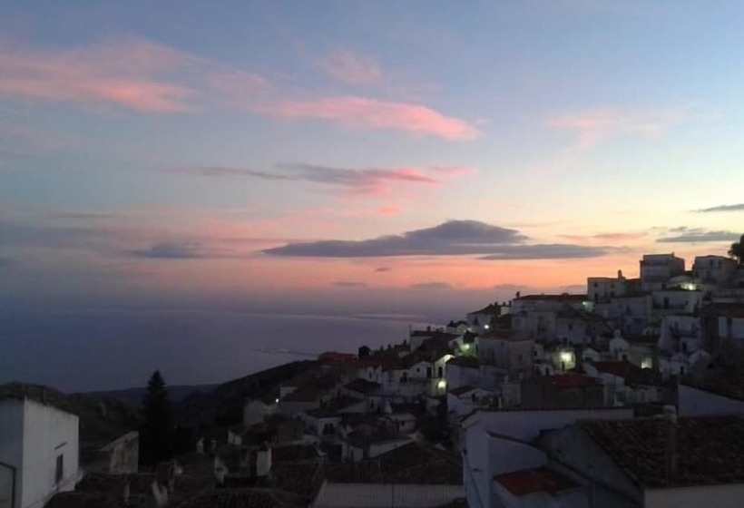 オーシャンビュースタンダードルーム, B&b Michael