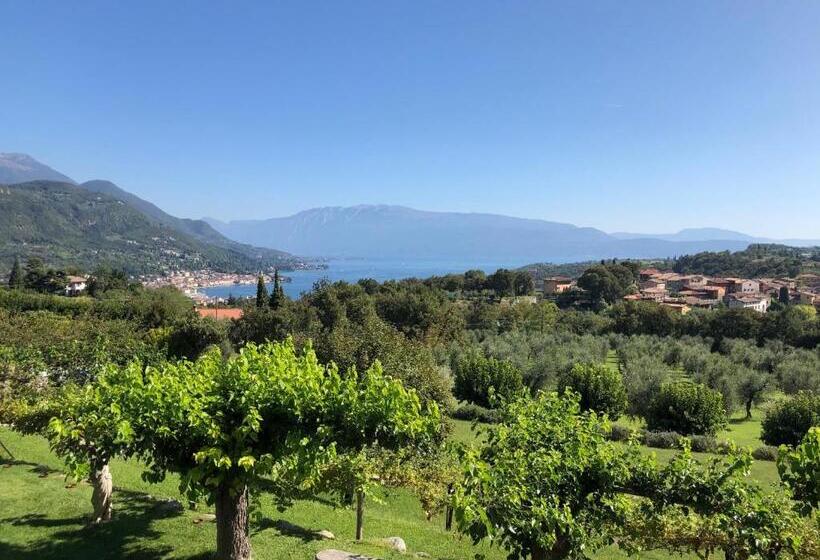 סוויטה, Villa Arcadio