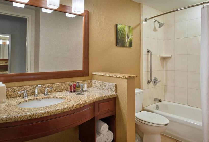 سوئیت اجرایی با تخت کینگ, Chicago Marriott Midway