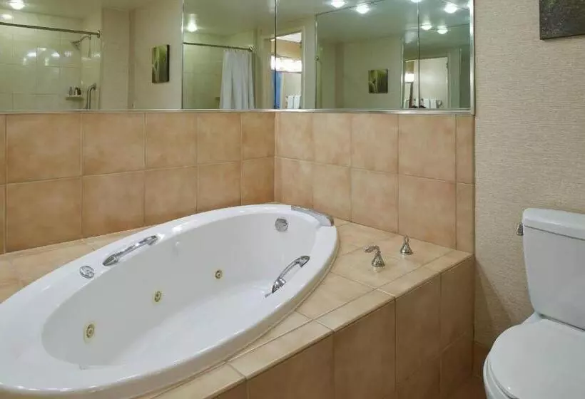 Suite with Hot Tub