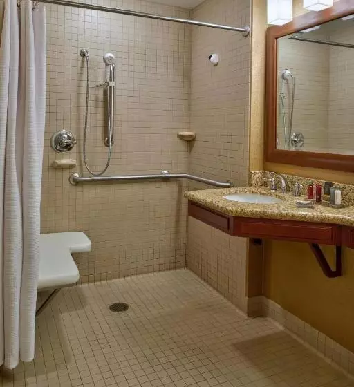 身障者適用キングサイズベッドルーム, Chicago Marriott Midway