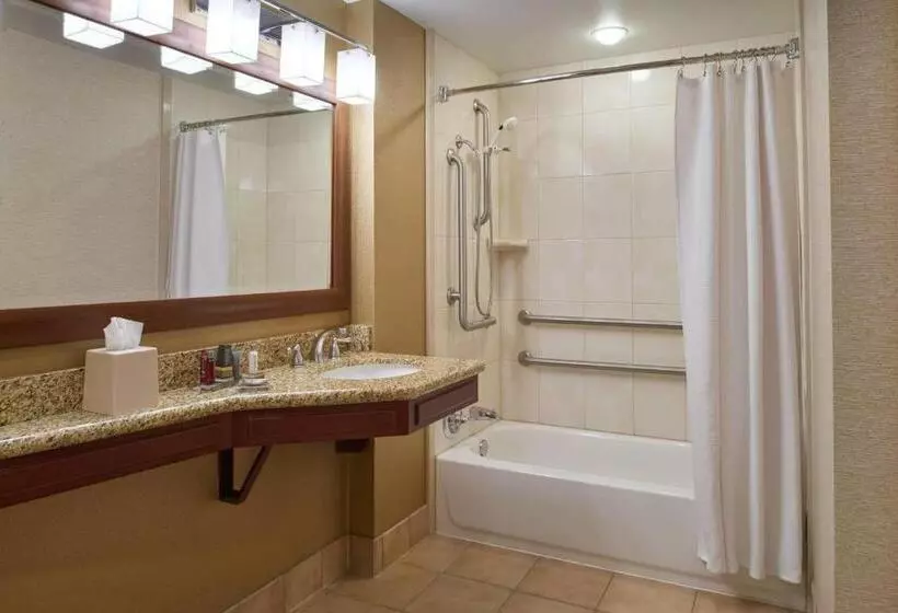 身障者適用スタンダードルーム, Chicago Marriott Midway