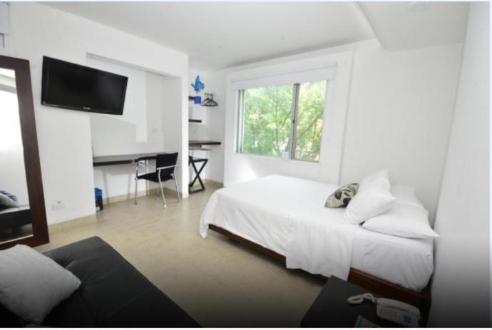 غرفة إقتصادية, Mediterraneo