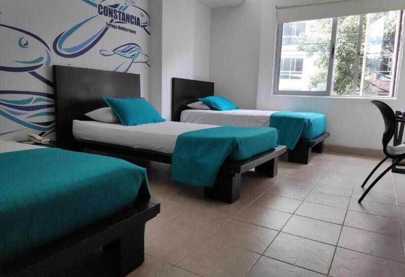 غرفة إقتصادية ثلاثية, Mediterraneo