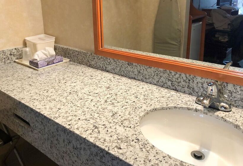 Номер Стандарт 2 Двуспальные Кровати, Quality Inn Petersburg Near Fort Greggadams