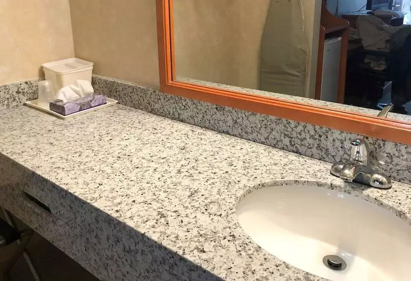 اتاق استاندارد با 2 تخت دوبل, Quality Inn Petersburg Near Fort Greggadams
