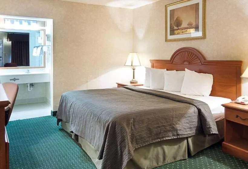 اتاق استاندارد با تخت بزرگ, Quality Inn Petersburg Near Fort Greggadams