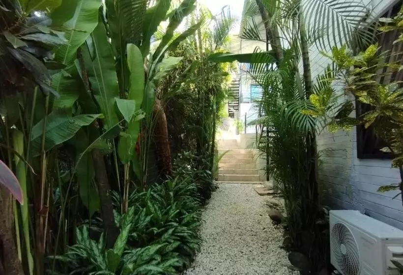 آپارتمان 1 خوابه, Raratonga