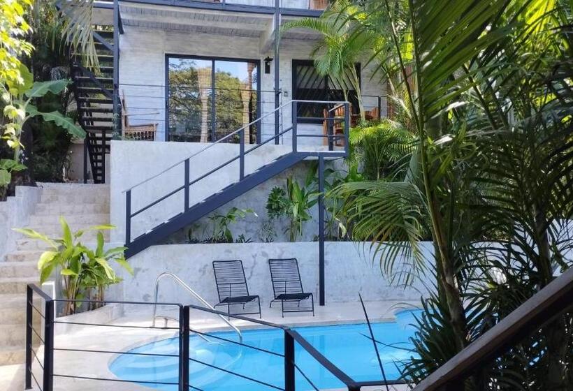 Апартаменты 1 Спальня, Raratonga