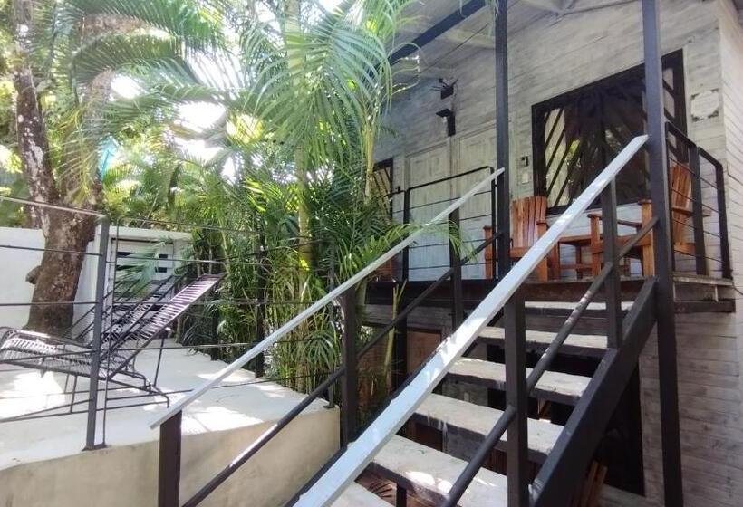 Номер Deluxe, Raratonga