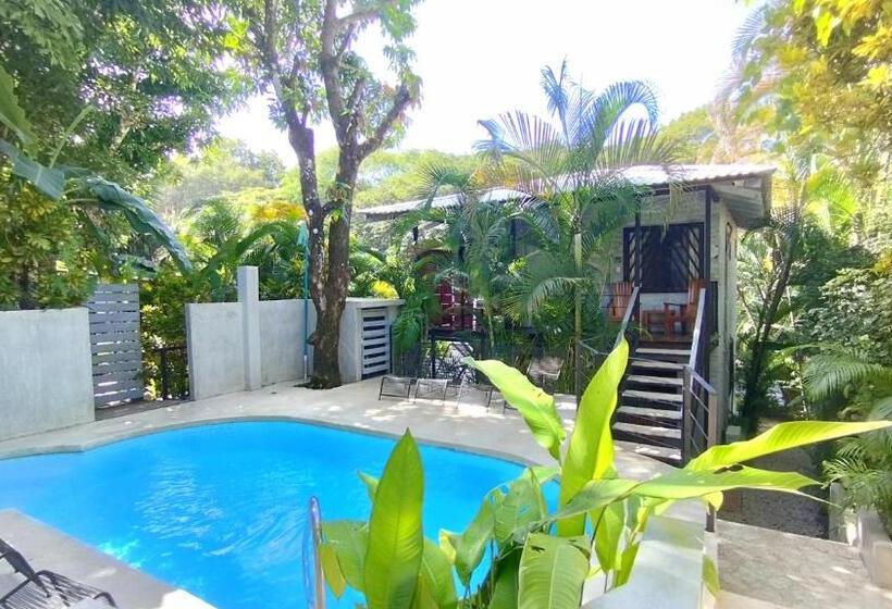 Номер Deluxe, Raratonga