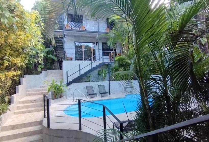 Номер Deluxe, Raratonga