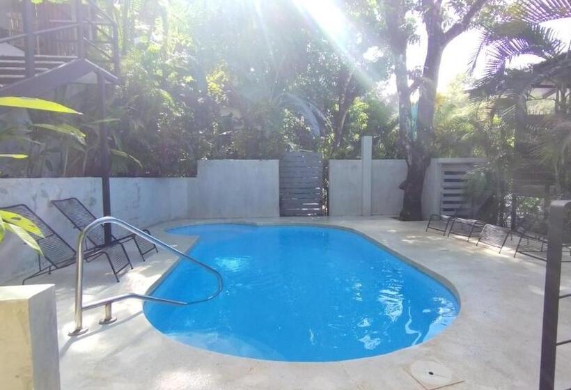 Апартаменты 2 Спальни, Raratonga