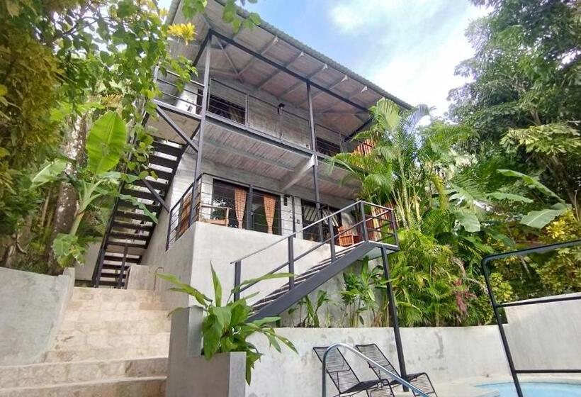 Номер Deluxe, Raratonga