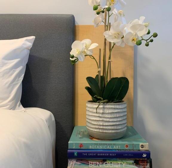 带大床的豪华间, The Palmer Collective