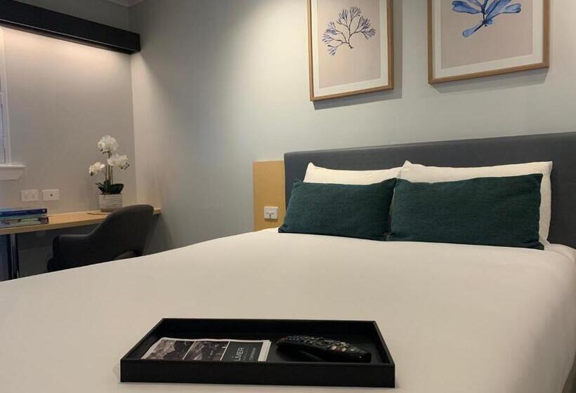 豪华房间, The Palmer Collective