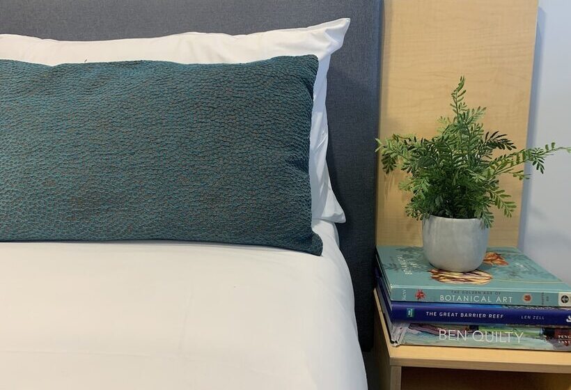 豪华房间, The Palmer Collective