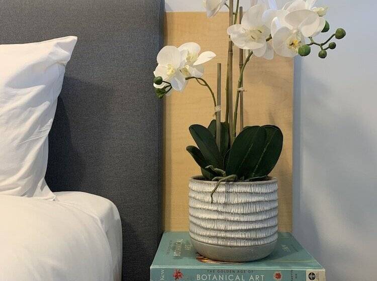 豪华房间, The Palmer Collective