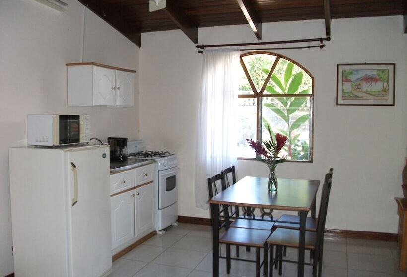 آپارتمان 1 خوابه, La Catalina Hotel And Suites