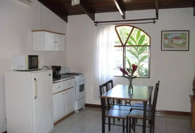 آپارتمان 1 خوابه, La Catalina Hotel And Suites