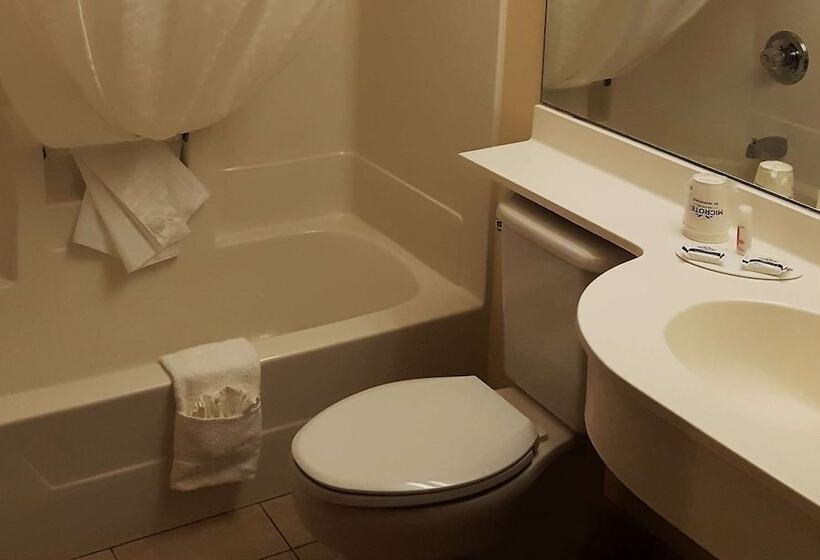 Студия Deluxe, Microtel Inn & Suites By Wyndham Bellevue
