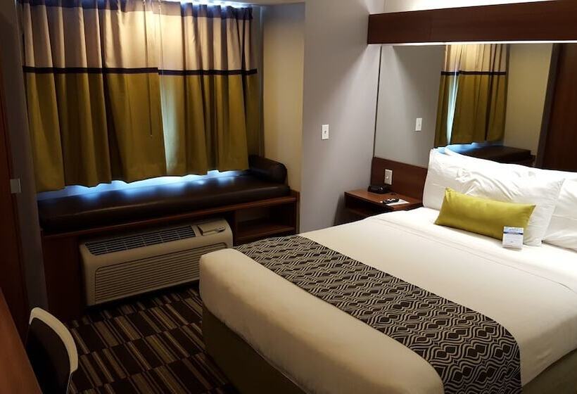 豪华工作室, Microtel Inn & Suites By Wyndham Bellevue