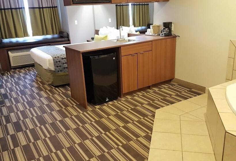 Студия Deluxe, Microtel Inn & Suites By Wyndham Bellevue