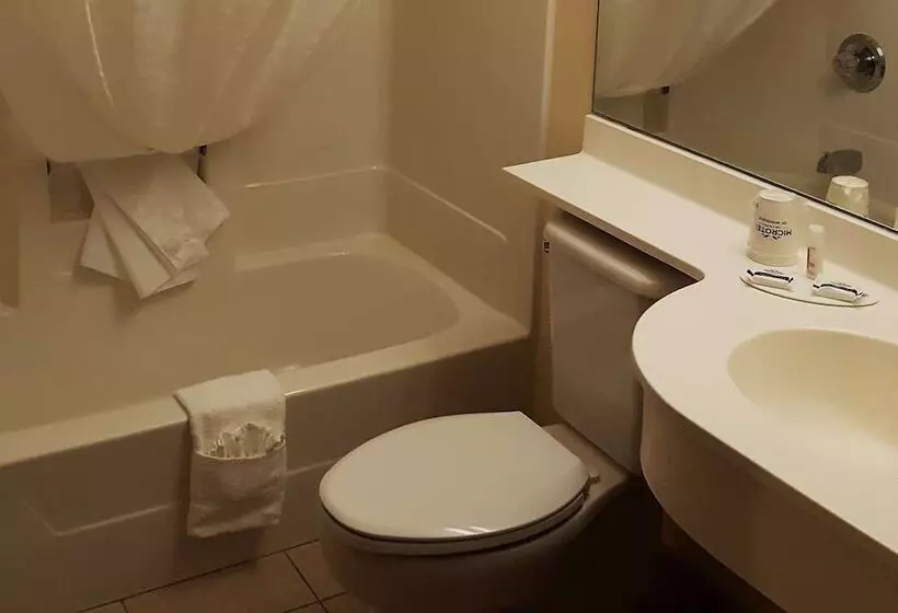 身障者適用スタンダードルーム, Microtel Inn & Suites By Wyndham Bellevue