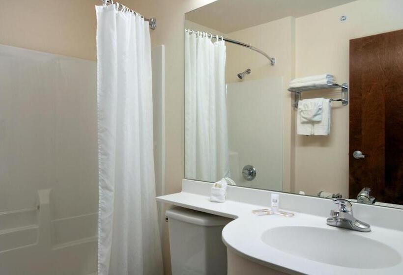 Студия Стандарт, Microtel Inn & Suites By Wyndham Bellevue