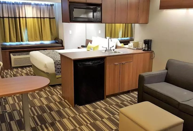 スタンダードスタジオ, Microtel Inn & Suites By Wyndham Bellevue