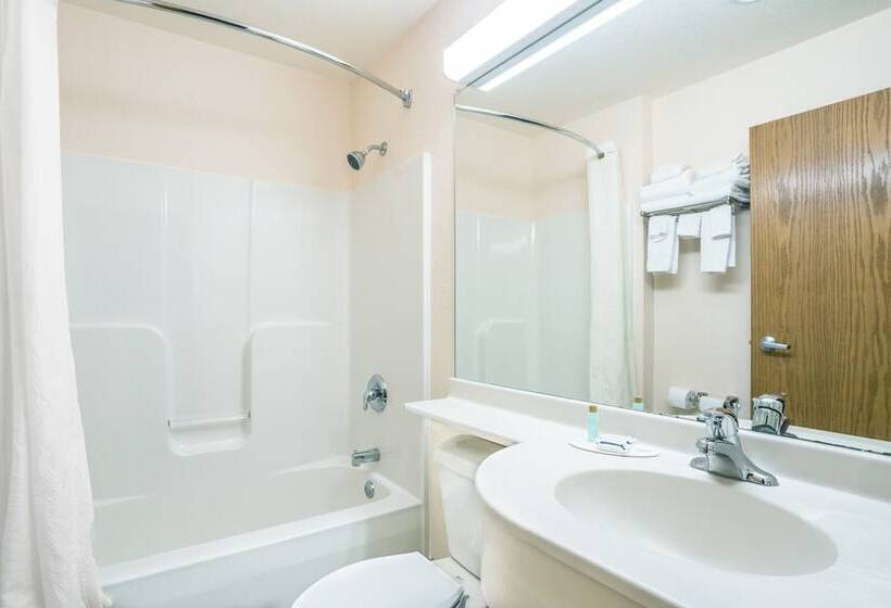 غرفة قياسية لذوى الاحتياجات الخاصة, Microtel Inn & Suites By Wyndham Tomah