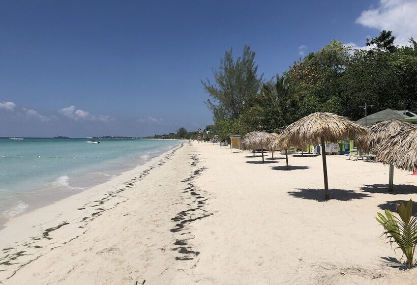 اتاق استاندارد با چشمانداز دریا, Fun Holiday Beach Resort