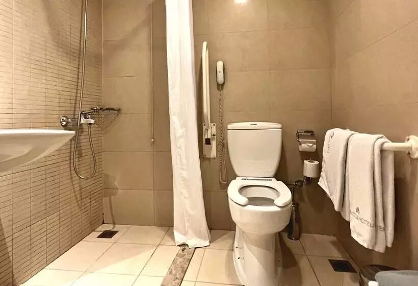 اتاق استاندارد برای معلولان, Anatolia