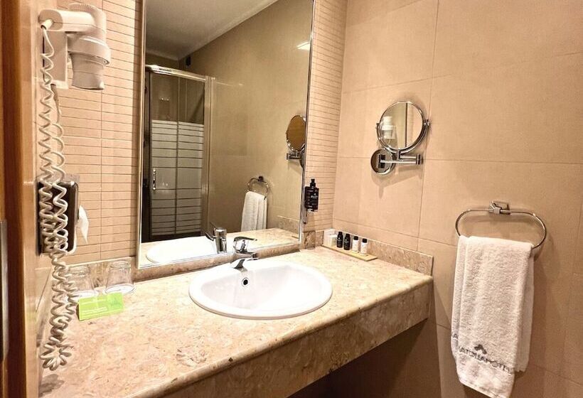 Номер Стандарт Адаптированный для Инвалидов, Anatolia