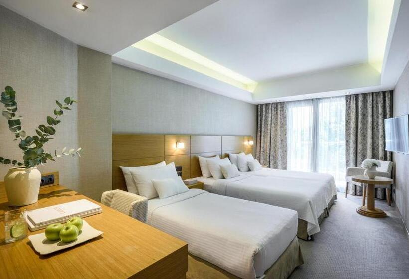 Трехместный Номер Deluxe, Anatolia