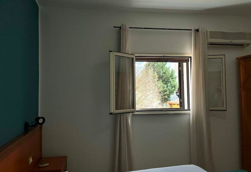 标准单人间, D'orleans