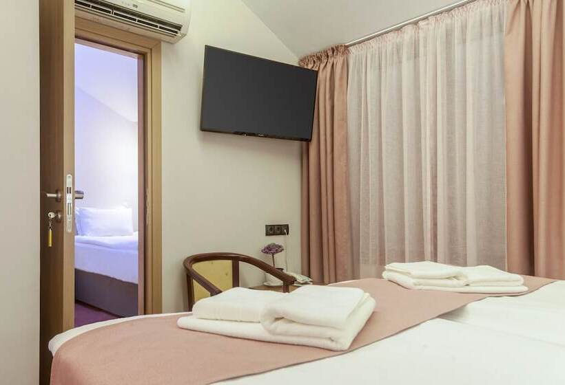 اتاق خانوادگی, Hugo