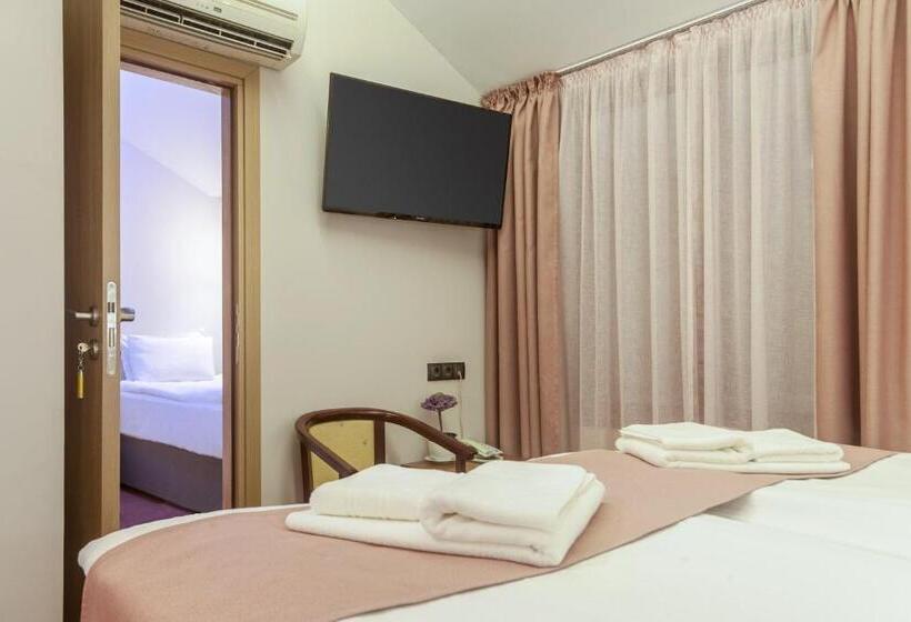 اتاق خانوادگی, Hugo