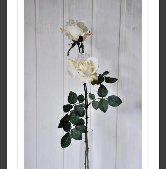 سوییت, La Muñequilla