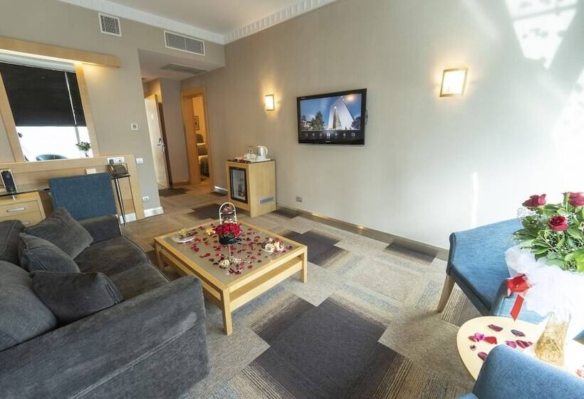 سوییت جونیور, Metropolitan Hotels Ankara